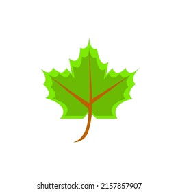 vector image of autumn leaves
