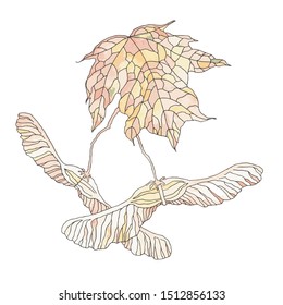 vector image of autumn maple leaf 