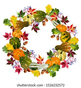 Vector image. Autumn squash and leaves of wild grapes, oaks, oak leaves. Autumn decor for the holiday.