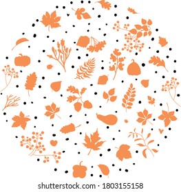 vector image in autumn theme in white and orange tones