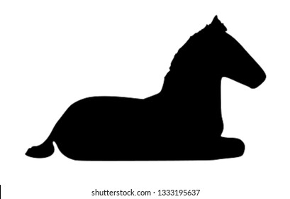 Vector image available for commercial use
equine horse foal laying down 