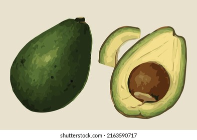 Imagen vectorial -opción de aguacate 1