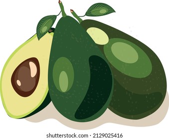 Vector image of an avocado. Several avocados. Cut avocado. Avocado with leaves.