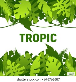 Vector image. Background with green tropical leaves, seamless horizontal. Tropics, jungles and travels