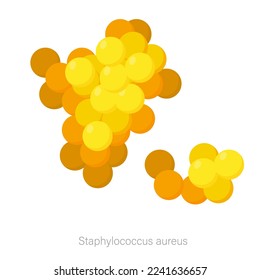 Vector image of a bacterium. Pathogenic bacteria, viruses and microbes. Colored microbes and various types of bacteria. A design element for a website, applications, social networks.