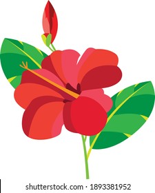 Imagen vectorial de la flor de montaña Bali Shoots con estilo de arte pop de color.