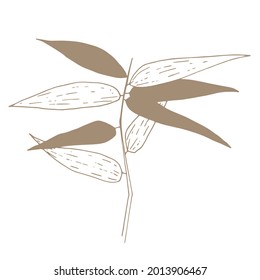 Vector image of a bamboo branch with leaves and the inscription Bamboo. Hand-drawn. Design of posters, postcards, invitations, design of weddings,  prints, textiles, wallpapers, tattoos, fabrics.