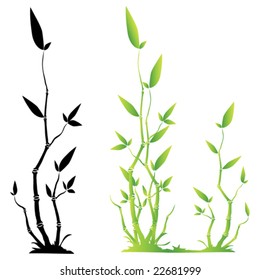 The vector image of a bamboo on a white background