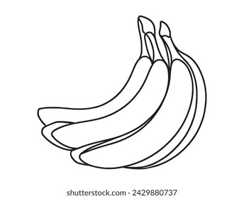 Vector image of banana branch in flat style, single line.