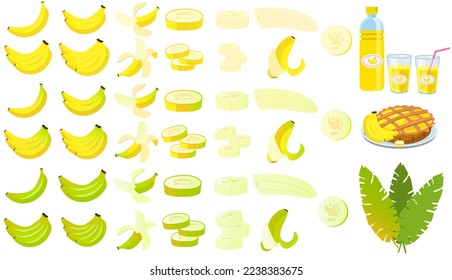 Vector image of a banana. The concept of healthy food and fresh fruit. Tropical fruits, banana snacks or vegetarian meals.