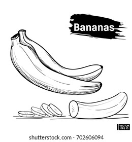 Vector image. Banana outline black and white in hand drawing style