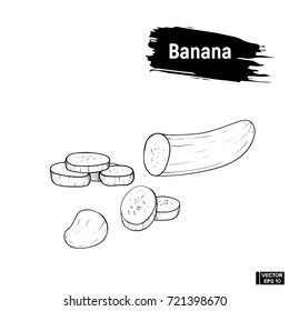 Vector image. Banana outline black and white in hand drawing style. Sliced banana, imitation of ink