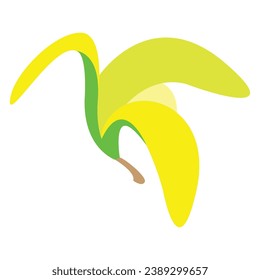 vector image of a banana with its peel open