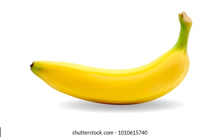 Vector image of a banana.Realistic yellow banana on the white background.Banana icon.