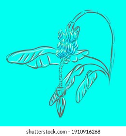 Vector image of bananas on a branch on a blue background. Set of illustrations. Composition for frame, interior decor, booklet, brochure, blog, hand drawn style print