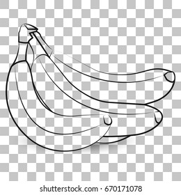 Vector image of bananas on a transparent background.