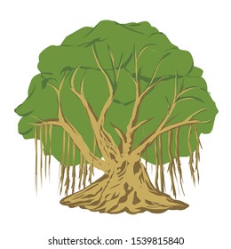 Vector image of a banyan tree bonsai images