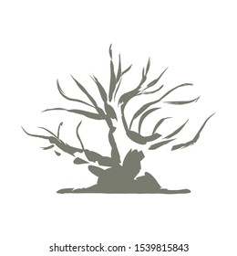 Vector image of a banyan tree bonsai images