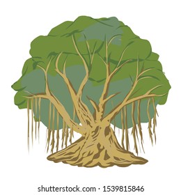Vector image of a banyan tree bonsai images
