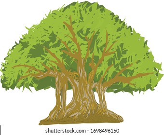 imagen vectorial de un árbol banyan con fondo blanco
