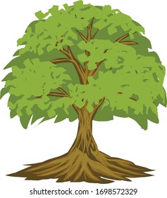 vector image of a banyan tree with a white background