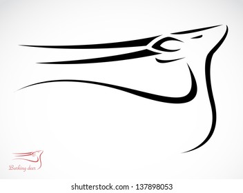 Vector image of an barking deer