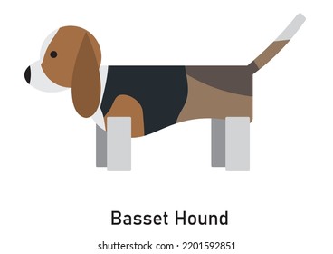 Vector image of a Basset Hound dog breed