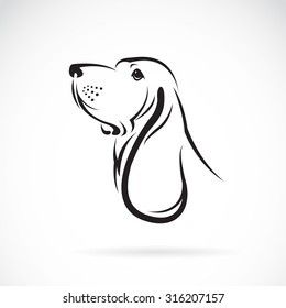 Vector image of a basset hound head on white background