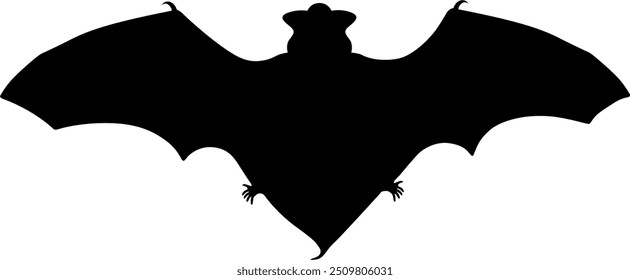 Vector image of a bat