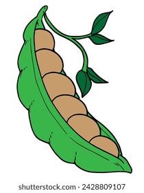 vector image of beans, beans are vegetables that have many benefits for the body.