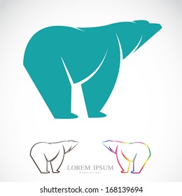 Vector image of an bear on white background