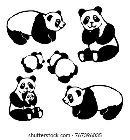 Vector image of a bear panda. Set. For the design of postcards, books, for coloring, printing on clothes