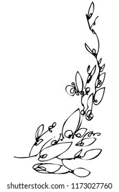 a vector image beautiful abstract floral background