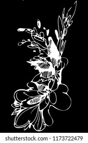 vector image beautiful abstract floral background