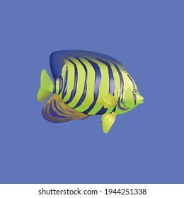 Vector image - beautiful aquarium fish of yellow color on a blue background