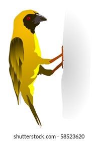 vector image of a beautiful bird