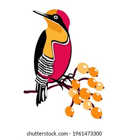 vector image of a beautiful bird on a branch with berries on a white background