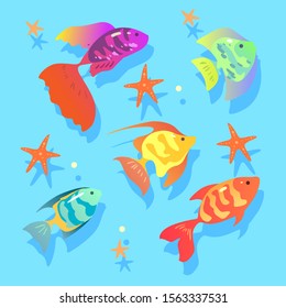 Vector image of beautiful and colorful fish swimming in the ocean with starfish on blue background