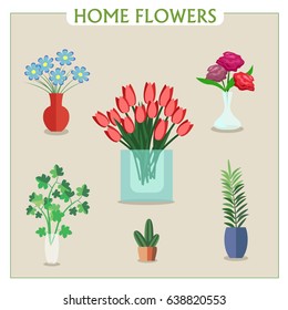 Vector image. Beautiful flower, collection of houseplants. Bouquet of flowers. House plants with pot isolated. icon design