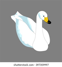 Vector image of a beautiful swan. 