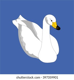 Vector image of a beautiful swan. Bird beautiful water. Great item for logo and wedding invitations