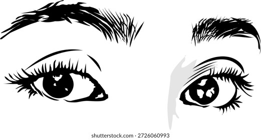  Imagen de Vector de los ojos de una mujer hermosa en un fondo blanco