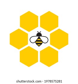 vector image of a bee on a honeycomb color isolated on a white background