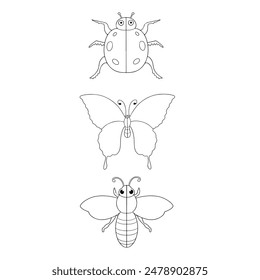 vector image of beetle, butterfly and bee vector illustration