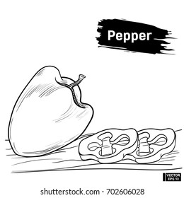 Vector image. A bell pepper, a sketch of a vegetable in the style of hand drawing.