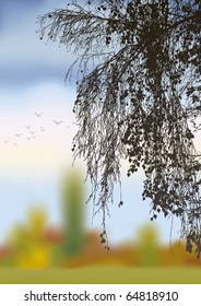 Vector image. Bent birch branches on a cloudy autumn day