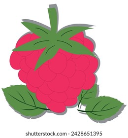 Vector image of berries. Raspberries and blackberries. Bright and juicy pattern.