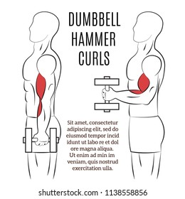 Vector image. Bicep exercises.