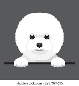 Vector image of a Bichon Frise dog. Cute puppy