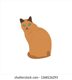 vector image of big cat